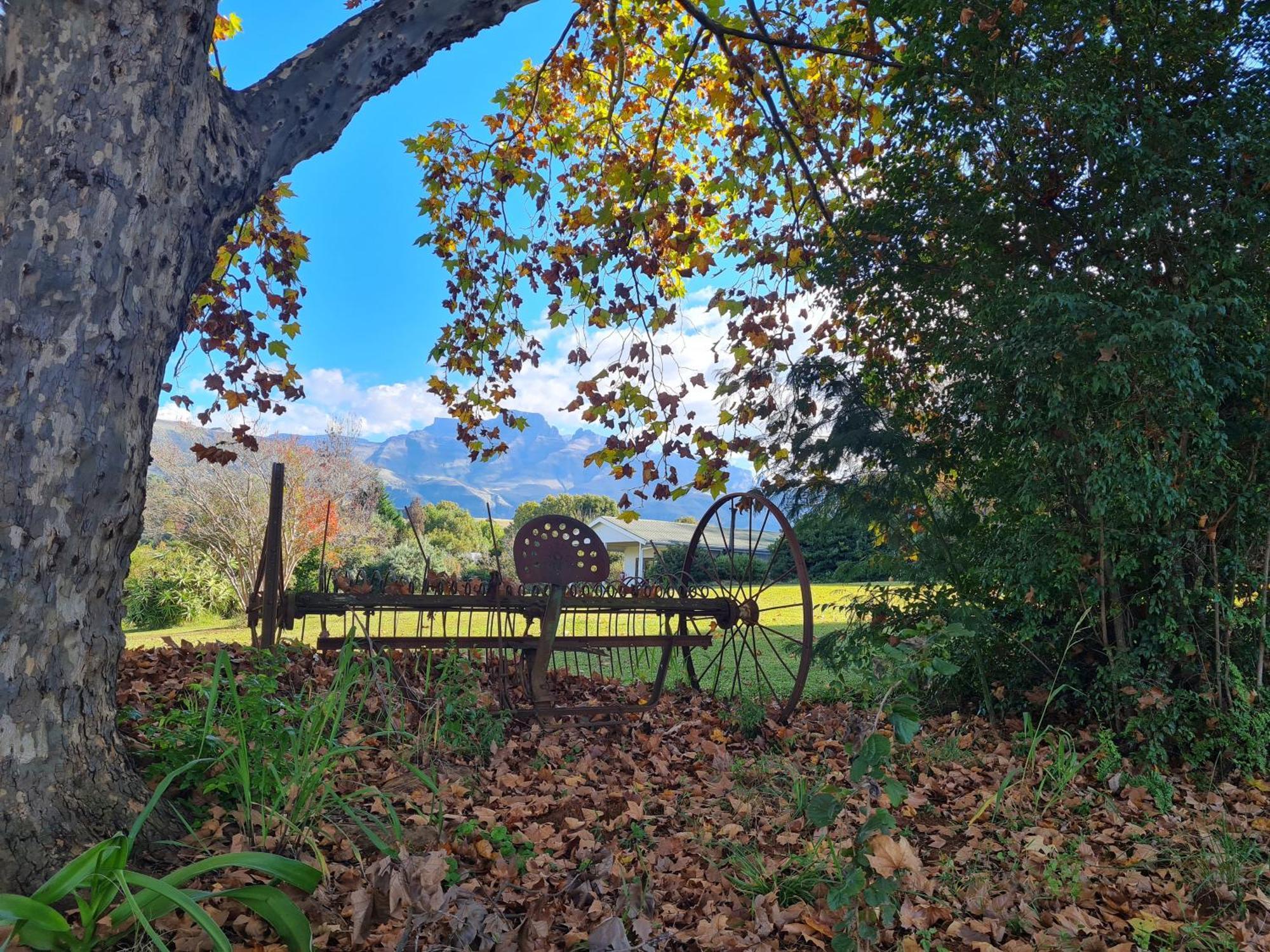 Swallowfield Rondavels Champagne Valley Exterior photo